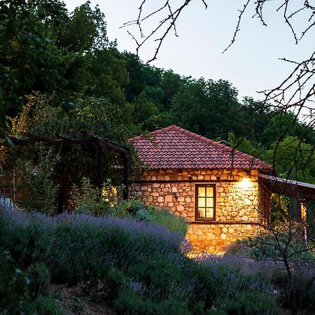 Ktima Bellou Agios Dimitrios  Exterior foto