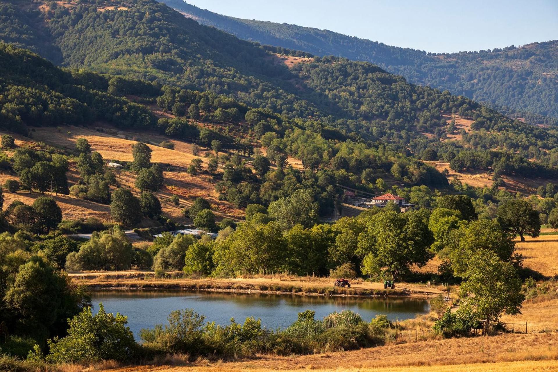 Ktima Bellou Agios Dimitrios  Exterior foto