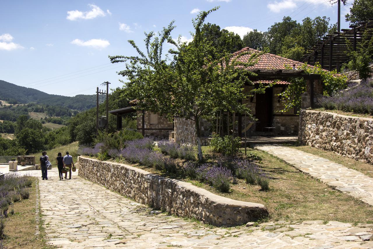 Ktima Bellou Agios Dimitrios  Exterior foto